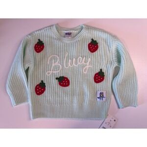 Bluey Mint Green Strawberry Knit Sweater Pullover Toddler 3T New NWT BBLUKA0CLC